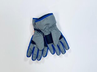 Женские перчатки цена и информация | Женские перчатки | 220.lv