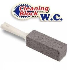 Tīrīšanas bloks Cleaning Block WC ar rokturi cena un informācija | Tīrīšanas piederumi | 220.lv