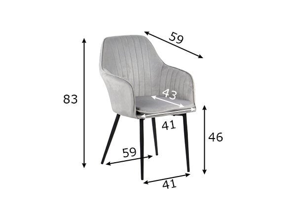 2-vu ēdamistabas krēslu komplekts STM, pelēks cena un informācija | Virtuves un ēdamistabas krēsli | 220.lv