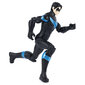 Figūriņa Nightwing Betmens (Batman) DC, 30 cm цена и информация | Rotaļlietas zēniem | 220.lv