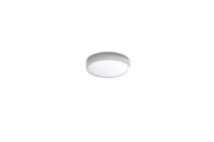 Потолочный светильник AZzardo Malta AZ4234 цена и информация | Потолочный светильник | 220.lv