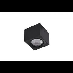 Griestu lampa AZzardo Eco AZ4317 цена и информация | Потолочные светильники | 220.lv