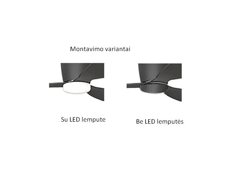 Griestu ventilators ar apgaismojumu AZzardo Veneti AZ4451 cena un informācija | Griestu lampas | 220.lv