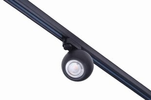 Встраиваемый светильник направленного освещения в трехфазные направляющие Azzardo Skye AZ4520 цена и информация | Трековые светильники и шинопроводы | 220.lv