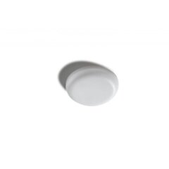 Встраиваемый светильник для ванной комнаты AZzardo Lamir AZ4385 цена и информация | Монтируемые светильники, светодиодные панели | 220.lv