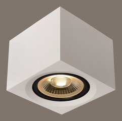 Griestu lampa AZzardo Eco AZ4318 цена и информация | Потолочные светильники | 220.lv
