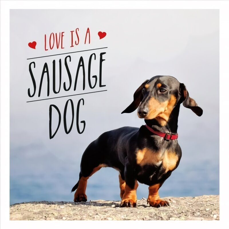 Love is a Sausage Dog cena un informācija | Enciklopēdijas, uzziņu literatūra | 220.lv