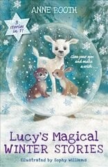 Lucy's Magical Winter Stories cena un informācija | Grāmatas pusaudžiem un jauniešiem | 220.lv