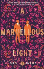 Marvellous Light цена и информация | Фантастика, фэнтези | 220.lv