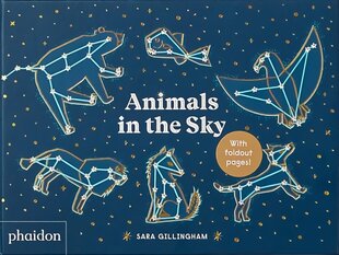 Animals in the Sky cena un informācija | Grāmatas pusaudžiem un jauniešiem | 220.lv