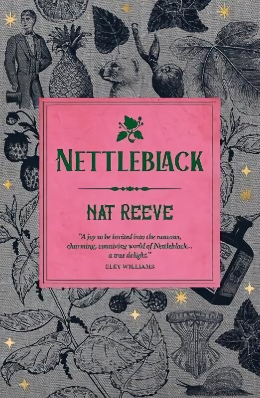 Nettleblack цена и информация | Fantāzija, fantastikas grāmatas | 220.lv