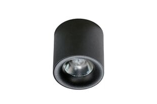 Потолочный светильник AZzardo Mane AZ4328 цена и информация | Потолочные светильники | 220.lv