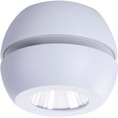 Griestu lampa AZzardo Ojos AZ4196 cena un informācija | Griestu lampas | 220.lv