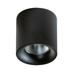 Griestu lampa AZzardo Mane AZ4156 цена и информация | Потолочные светильники | 220.lv