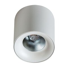 Griestu lampa AZzardo Mane AZ4152 cena un informācija | Griestu lampas | 220.lv