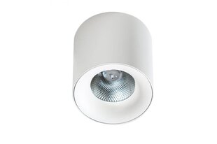 Griestu lampa AZzardo Mane AZ4152 cena un informācija | Griestu lampas | 220.lv