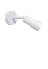 Потолочный светильник AZzardo Lumi AZ4556 цена и информация | Потолочные светильники | 220.lv