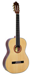 Классическая гитара Condorwood C150 4/4 цена и информация | Гитары | 220.lv