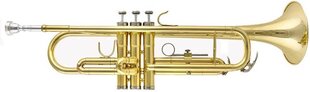 Trompete Alf Holden TRM-150 Bb cena un informācija | Pūšamie instrumenti | 220.lv