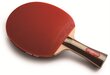 Galda tenisa rakete DHS T3002 cena un informācija | Galda tenisa raketes, somas un komplekti | 220.lv