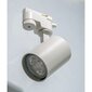 Iebūvējamais virziena gaismeklis 1F sliedē AZzardo AZ4661 cena un informācija | Sliežu apgaismojuma sistēmas | 220.lv