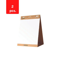 Самоклеящийся блокнот для настольных конференций BI-OFFICE EARTH, 20 листов, 65 x 98 см, в упаковке 2 шт. цена и информация | Канцелярия | 220.lv