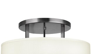 Griestu lampa Hinkley Lighting Hampton HK-HAMPTON-SF цена и информация | Потолочные светильники | 220.lv