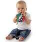 Rotaļlieta Atradumu bumba Playgro, 4082426 цена и информация | Rotaļlietas zīdaiņiem | 220.lv