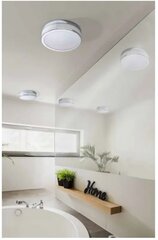 Потолочный светильник для ванны AZzardo Kari AZ4257 цена и информация | Потолочные светильники | 220.lv
