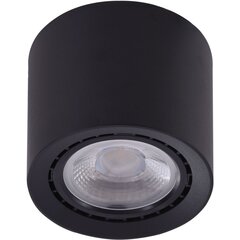 Griestu lampa AZzardo Eco AZ4319 цена и информация | Потолочные светильники | 220.lv