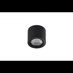 Потолочный светильник AZzardo Eco AZ4319 цена и информация | Потолочные светильники | 220.lv