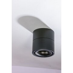 Griestu lampa AZzardo Costa AZ4553 цена и информация | Потолочные светильники | 220.lv