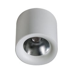Потолочный светильник AZzardo Mane AZ4327 цена и информация | Потолочные светильники | 220.lv