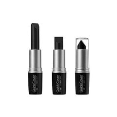 Korektors pelēkajām saknēm Kiss Quick Cover Gray Hair Touch Up Stick Black, 6 g cena un informācija | Matu veidošanas līdzekļi | 220.lv