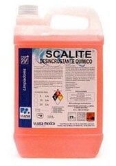 Средство для удаления накипи Scalite Desincrustante 5л цена и информация | Чистящие средства | 220.lv