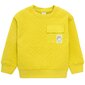 Cool Club jaka zēniem, CCB2513439 cena un informācija | Zēnu jakas, džemperi, žaketes, vestes | 220.lv
