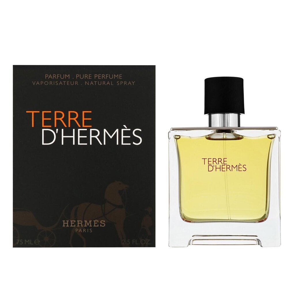 Parfimērijas ūdens Hermes Terre D'Hermes EDP Spray 75 ml. cena un informācija | Vīriešu smaržas | 220.lv