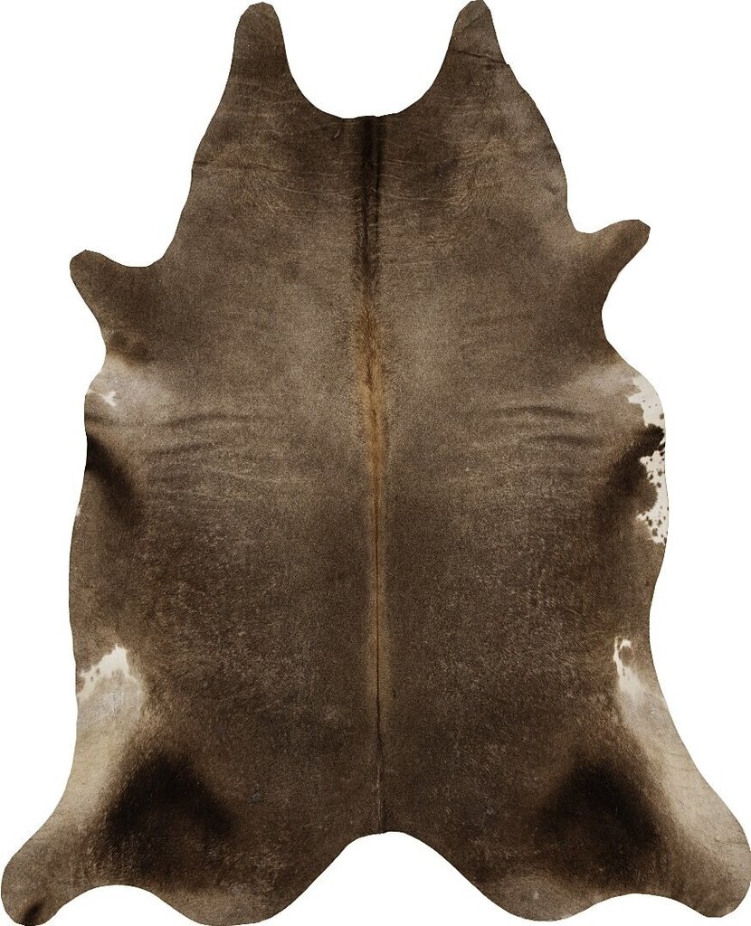 Vercai Rugs paklājs Nova Skin, tumši brūns, 130 x 155 cm, 920030465 цена и информация | Paklāji | 220.lv