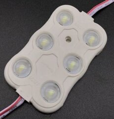 LED modulis 3.0W balts 6000-6500K - цена и информация | Монтируемые светильники, светодиодные панели | 220.lv