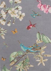 Paklājs Wedgwood Hummingbird Grey 037804 170x240 cm cena un informācija | Paklāji | 220.lv