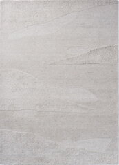 Paklājs B&amp;C Scape Natural Grey 095004 200x280 cm cena un informācija | Paklāji | 220.lv