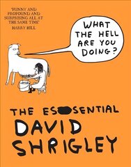 What The Hell Are You Doing?: The Essential David Shrigley: The Essential David Shrigley Main cena un informācija | Mākslas grāmatas | 220.lv
