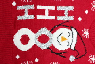 Рождественский свитер унисекс, красный цена и информация | Свитеры, жилетки, пиджаки для девочек | 220.lv