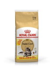 Royal Canin FBN Maine Coon sausā barība kaķiem 31 - 10 kg + 2 kg cena un informācija | Sausā barība kaķiem | 220.lv