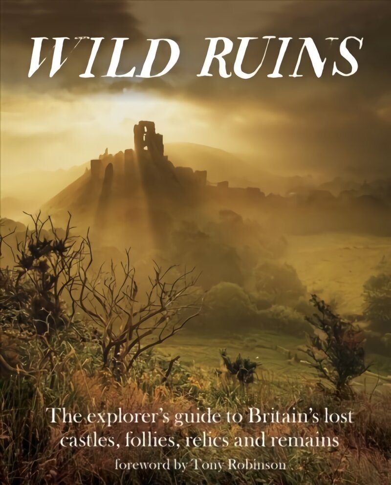 Wild Ruins: The Explorer's Guide to Britain Lost Castles, Follies, Relics and Remains цена и информация | Ceļojumu apraksti, ceļveži | 220.lv