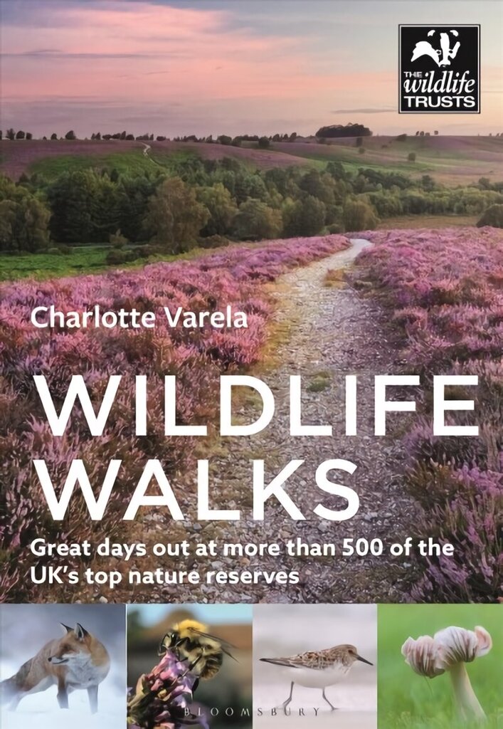 Wildlife Walks: Get back to nature at more than 475 of the UK's best wild places цена и информация | Ceļojumu apraksti, ceļveži | 220.lv