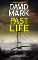 Past Life Main цена и информация | Фантастика, фэнтези | 220.lv
