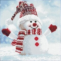 Dimantu mozaīka Snowman, 30,50x30,50 cm cena un informācija | Dimantu mozaīkas | 220.lv