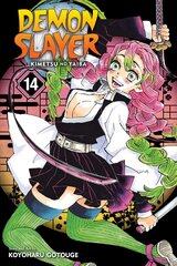 Demon Slayer: Kimetsu no Yaiba, Vol. 14 цена и информация | Фантастика, фэнтези | 220.lv