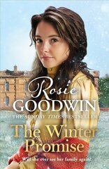 Winter Promise: A perfect cosy Victorian saga from the Sunday Times bestselling author cena un informācija | Fantāzija, fantastikas grāmatas | 220.lv